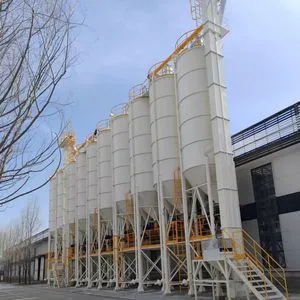 a Waterproof Mortar Mixing Production Line Equipped with a Bucket Elevator